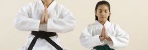 Karate banner